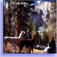 Yosemite Sierra Llama Treks California Trekking Sequoia Kings Canyon Hikes